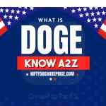 what is doge